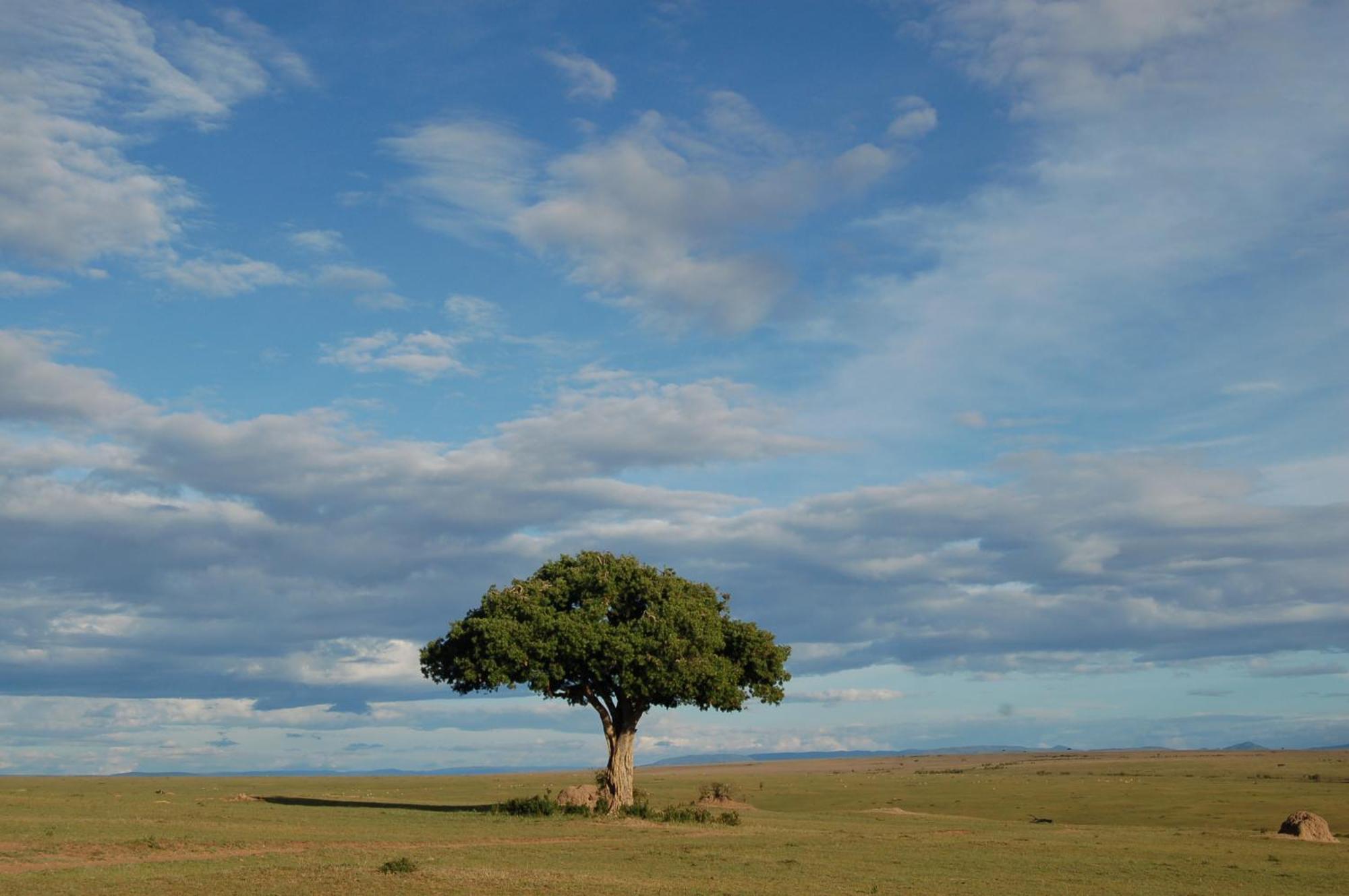 Mara Intrepids Tented Camp Talek Esterno foto