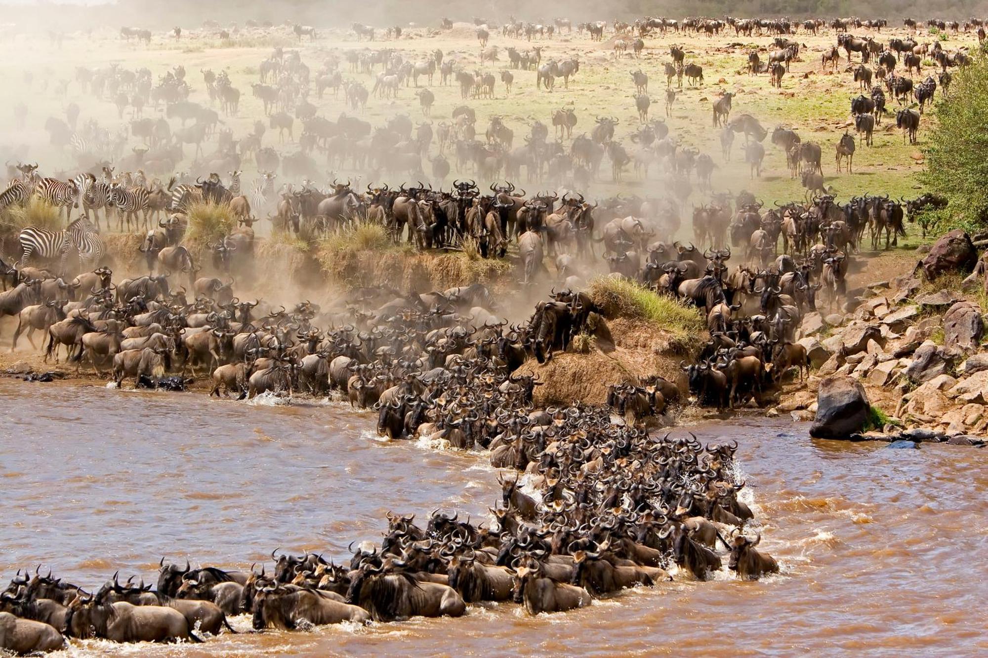 Mara Intrepids Tented Camp Talek Esterno foto